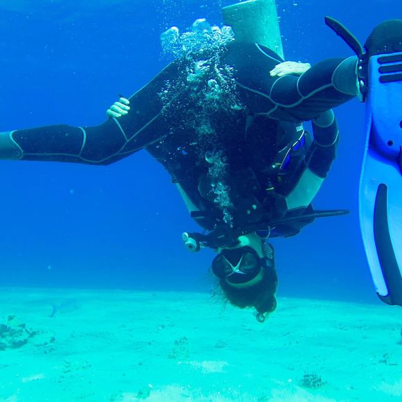 Meet your Posher, Elena - Picture 1 of 1